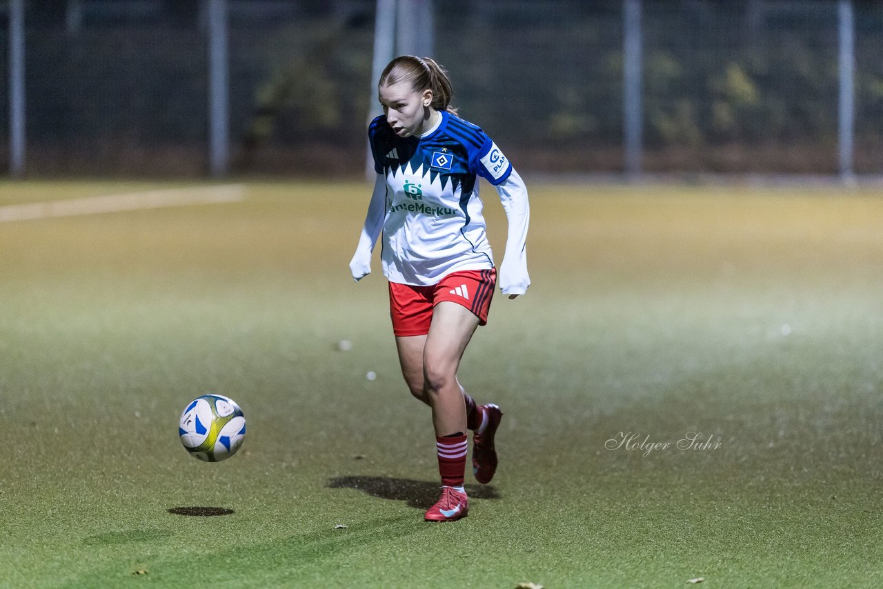 Bild 335 - F SC Alstertal-Langenhorn - Hamburger SV 3 : Ergebnis: 2:2
